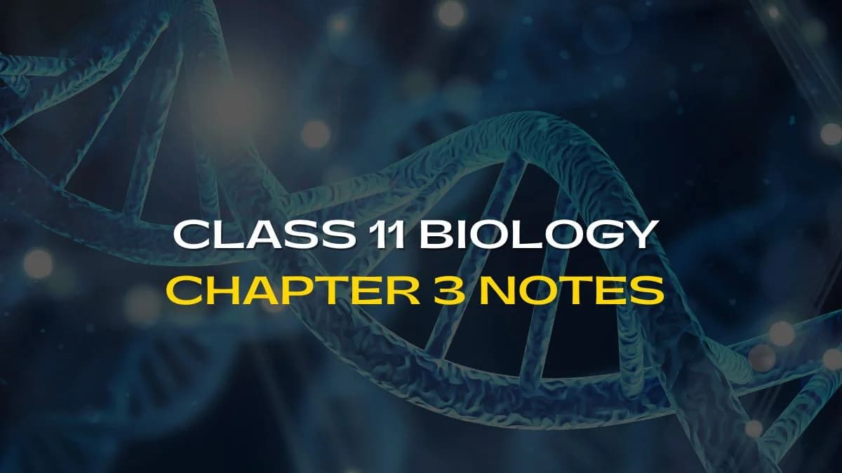 Class 11 Biology Chapter 3: Kingdom Plantae – SSC Board