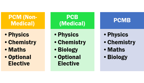 Understanding the Science Streams After 10th