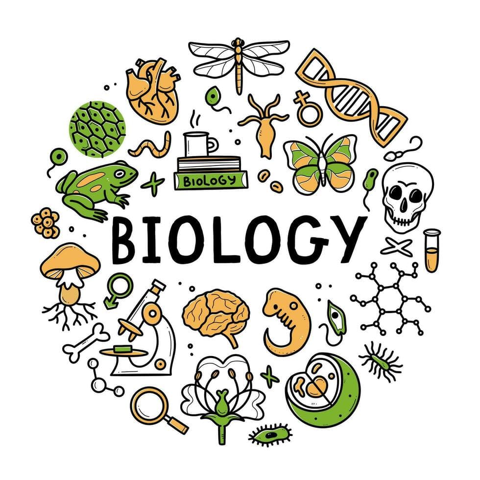 Complete Class XI Maharashtra Board Biology Syllabus – Your Guide
