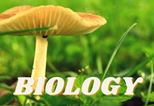 Class 11 Biology Chapter 2: Systematics of Living Organisms – SSC Board